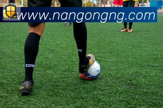 南宫体育发展历程