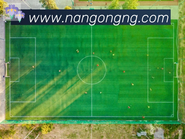 App Interface Preview