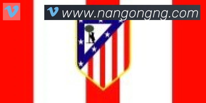 南宫体育合作伙伴