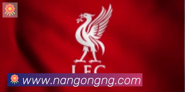 南宫体育合作伙伴