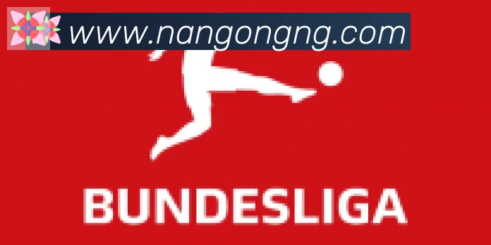 南宫体育合作伙伴