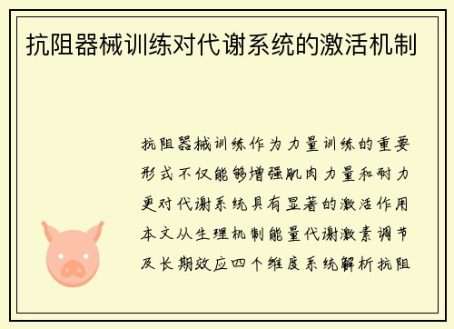 抗阻器械训练对代谢系统的激活机制