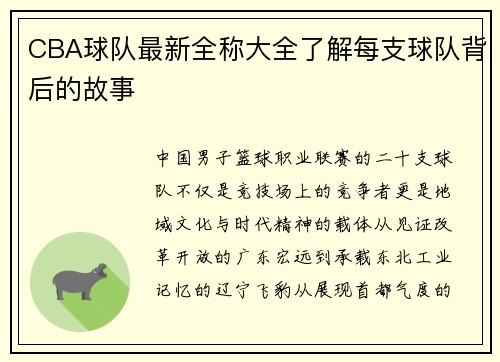CBA球队最新全称大全了解每支球队背后的故事
